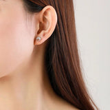 Сребърни обеци с формата на лапи, изработени от 925 сребро с цирконии