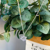 Елегантно сребърно колие с лапа, изработено от неръждаема стомана