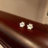 Обеци с формата на лапа от неръждаема стомана, хипоалергенни